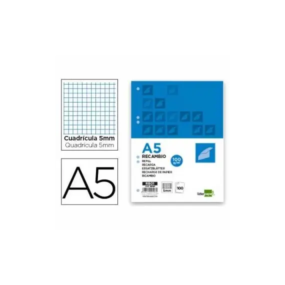 Recarga Papel A5 Quadriculado100g 6 Furos 100 Folhas