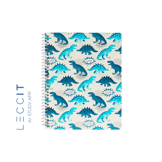 Caderno Espiral A5 Quadriculado DINO 80Fls 1un