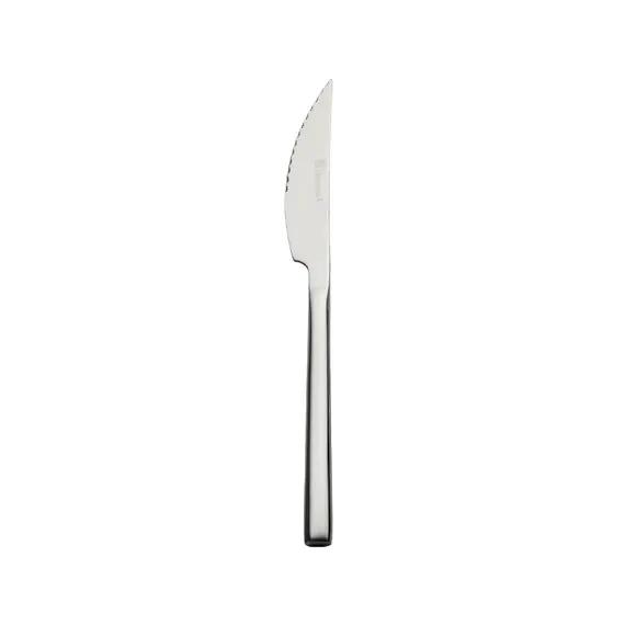 Faca Carne 23cm 80gr PARIS BRILLO 1un