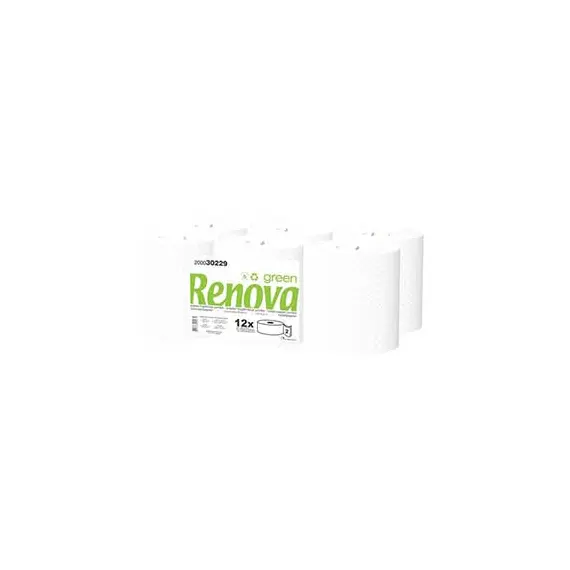 Papel Higiénico (Jumbo) 120mts 2Fls 34g Renova Green 12un