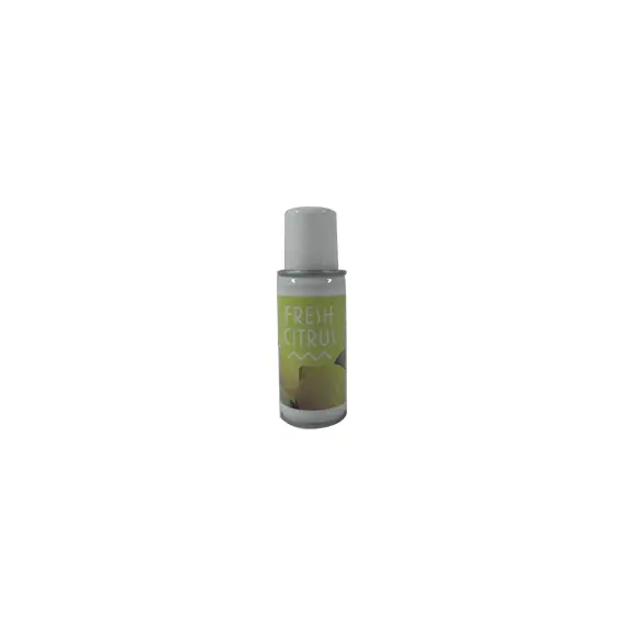 Recarga Ambientador BulkySoft Aerosol Citrus 100ml | Perfume Fresco e Duradouro