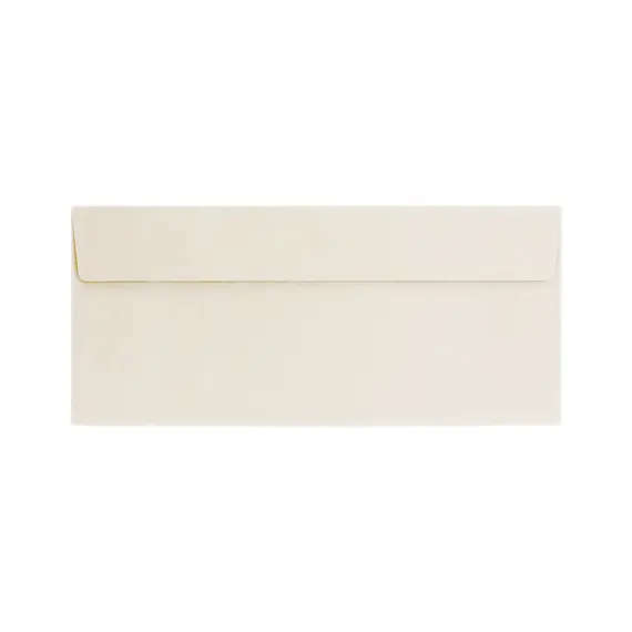 Envelopes 110x220mm DL Papel Natural 095g Branco Neve 25un