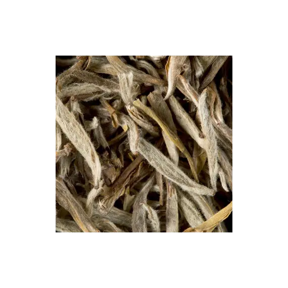 Chá Branco a Granel Jasmin Yin Zhen 500g