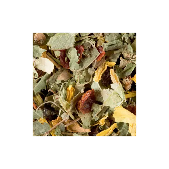 Chá Tisana a Granel De La Reyne 250g