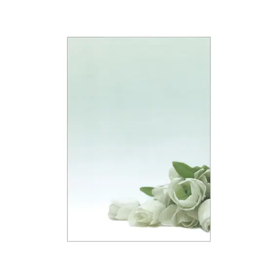 Papel Temático Flor Branca A4 90g 20 Folhas
