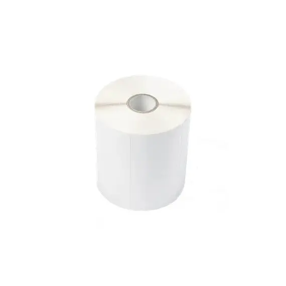 Etiquetas Pré-Cortadas com Revestimento 105x148mm 6 Rolos
