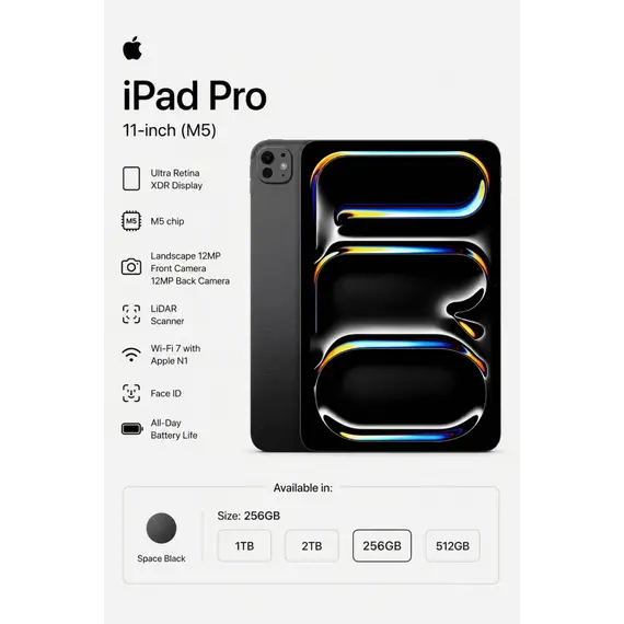 APPLE 11inch iPad Pro Wi-Fi 256GB with standard glass Space Black