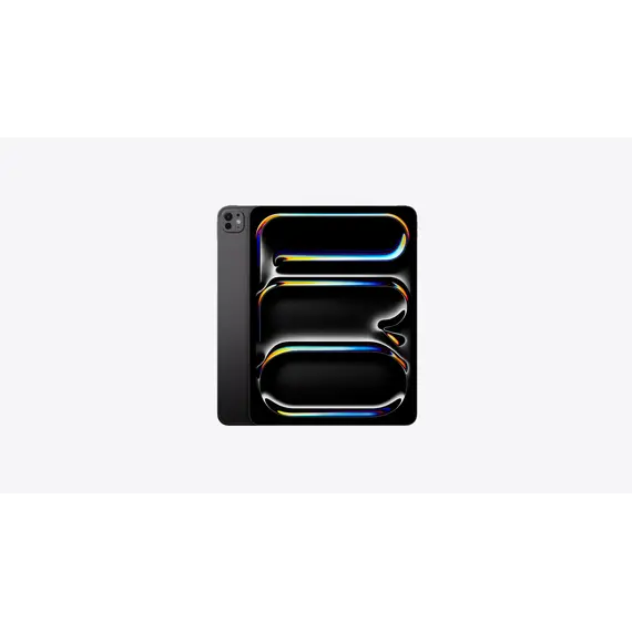 APPLE 13inch iPad Pro Wi-Fi 2TB with standard glass Space Black