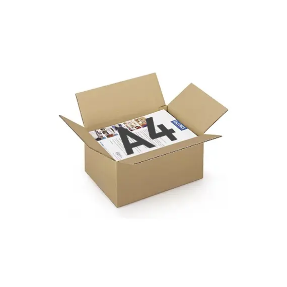 Caixa Cartão Simples 312x225x152mm (0,0106m3)- 25un