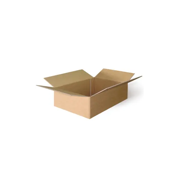 Caixa Cartão Simples 200x150x100mm 20un