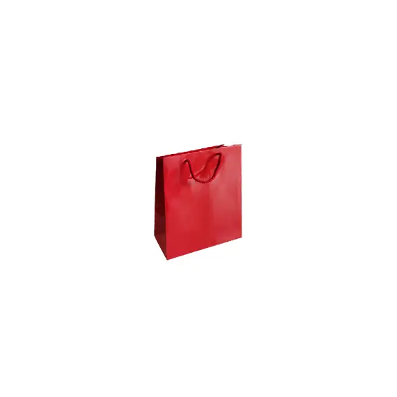 Saco 18x08x25cm Papel Couché  200g c/Asas Cordão Verme 1un