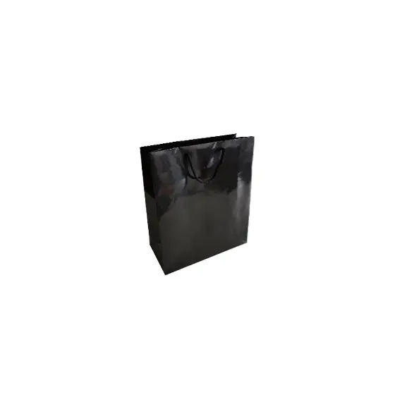 Saco 24x10x31cm Papel Couché 200g c/Asas Cordão Preto 1un
