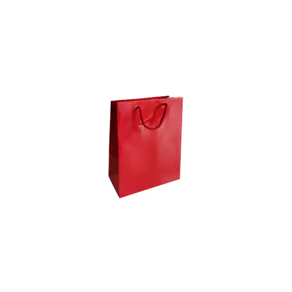 Saco 24x10x31cm Papel Couché 200g c/Asas Cordão Vermelho 1un