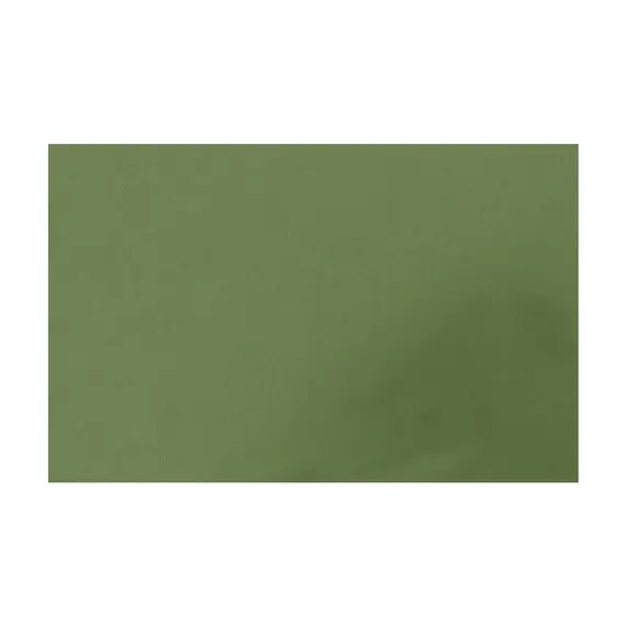 Placa de Cor Musgami Verde Musgo 50x70cm 1un