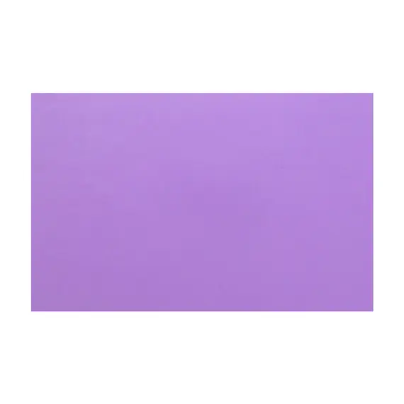Placa de Cor Musgami Violeta 50x70cm 1un