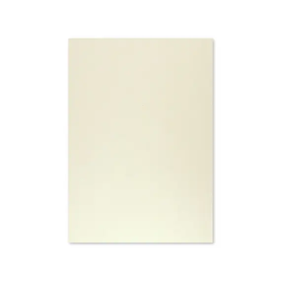 Cartolina 50x65cm Cinzento 9 180g 1 Folha