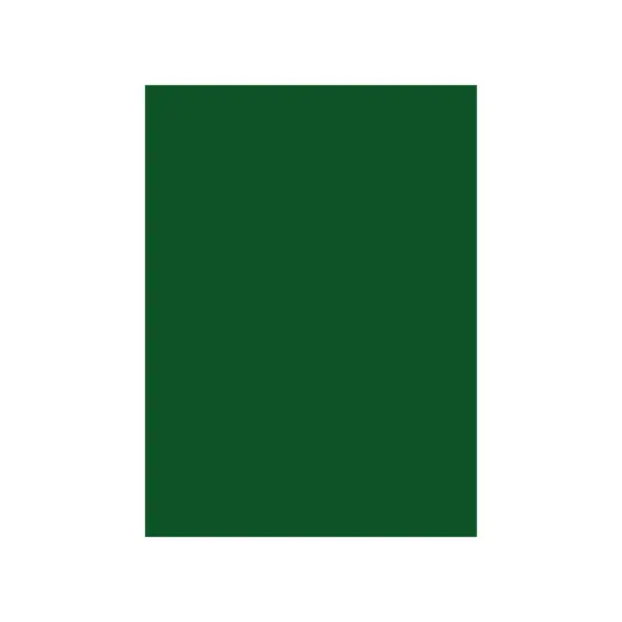 Cartolina 50x65cm Verde Escuro 3C 180g 1 Folha