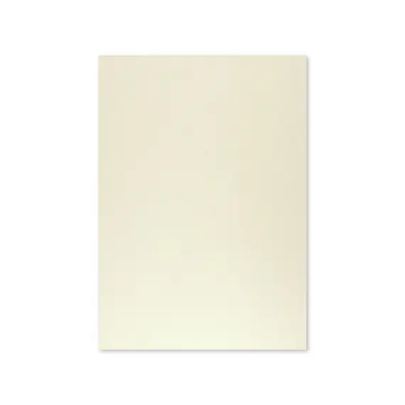 Cartolina 50x65cm Cinzento 9 250g 1 Folha