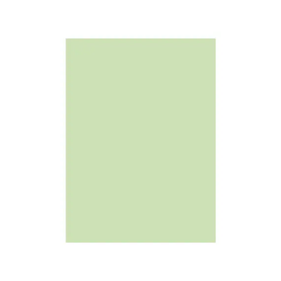 Cartolina 50x65cm Verde CLA 3 250g 1 Folha