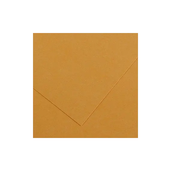 Cartolina 50x65cm Couro 185g 1 Folha Canson