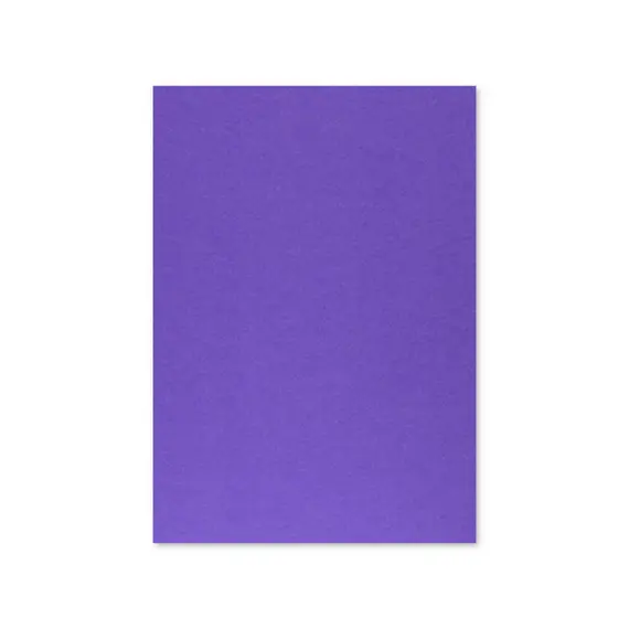 Cartolina A4 Violeta/Roxo 7V 250g 125 Folhas