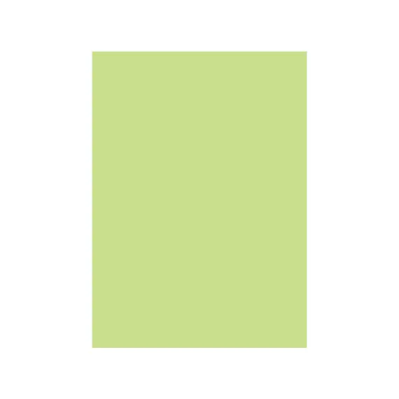 Cartolina A4 180g Verde Suave 3A 1 Folha