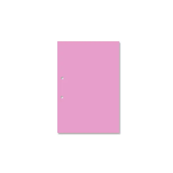Cartolina A4 com Furos Rosa 7A 250g 1 Folha