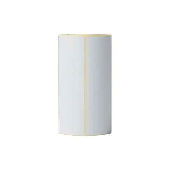 Etiquetas Térmicas 102x152mm 20 Rolos